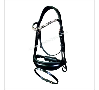 Leather Bridle